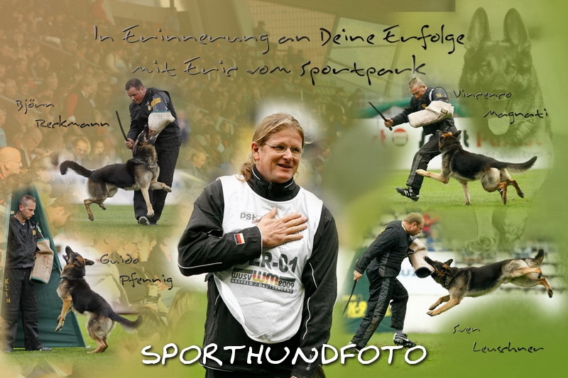 Collage Helfer fuer Jogi.jpg